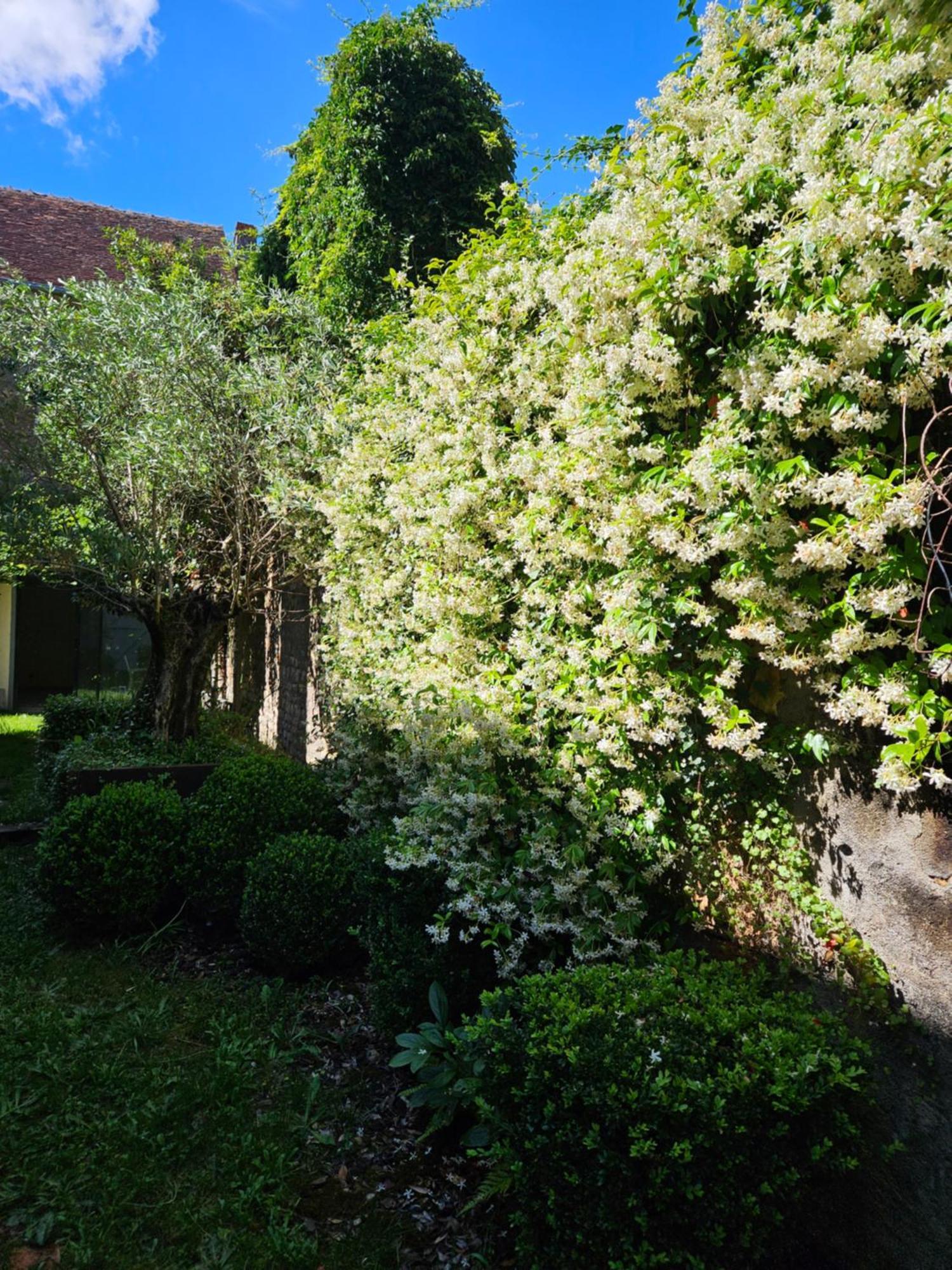 Chambre Avec Salle De Bain Hotel Donzy Exterior photo